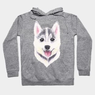 Siberian Husky Puppy Hoodie